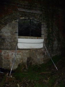 Harp trap on tent poles Photo (c) Bob Cornes