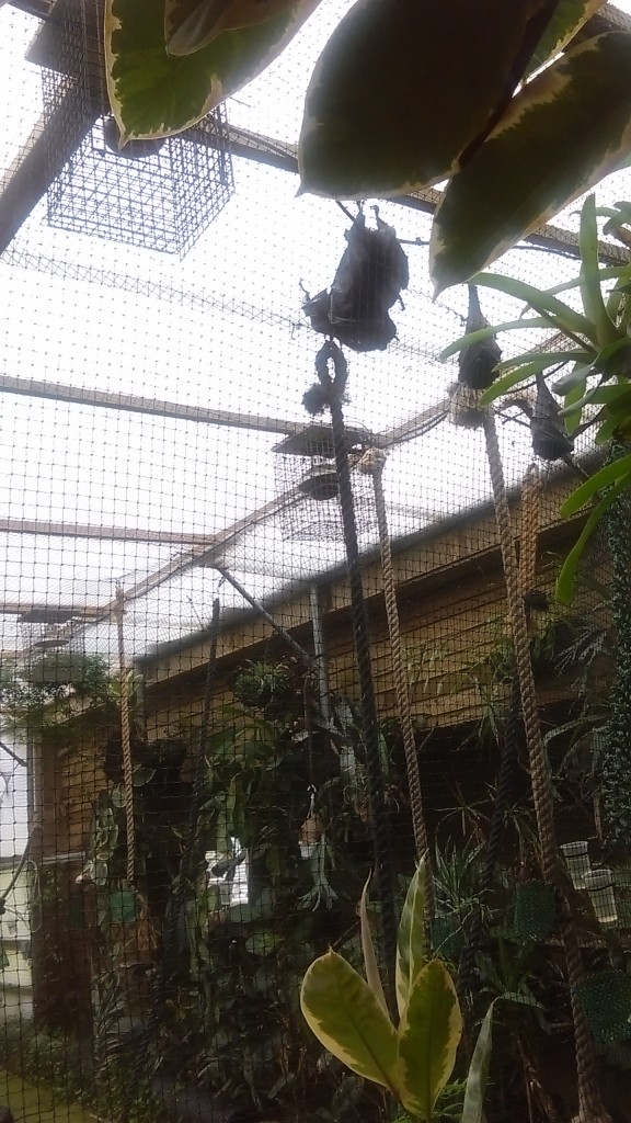 IMAG0043