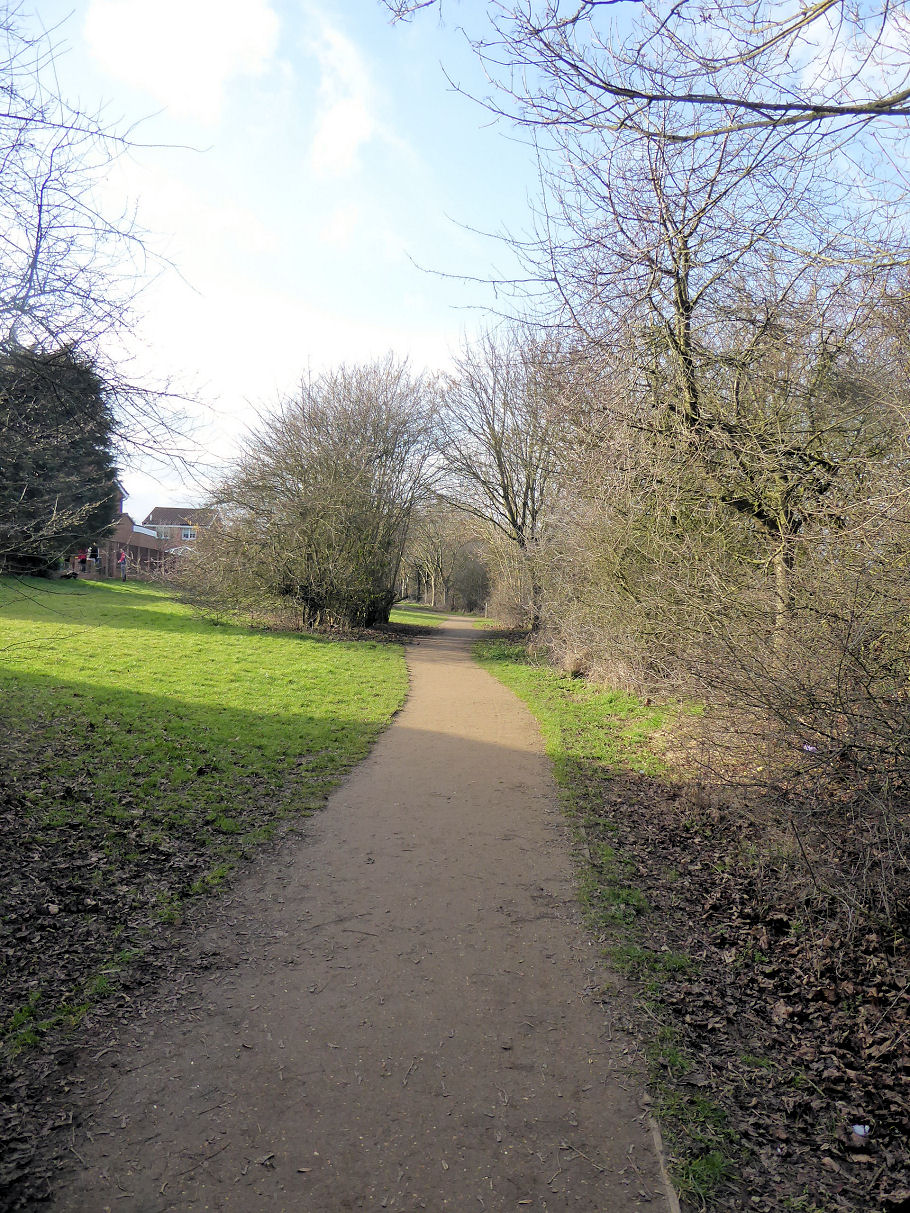 Wandon Park Bat Survey Stopsley Luton Bedfordshire Bat Group
