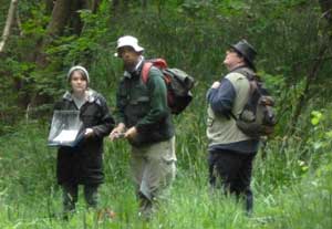 scouting-for-sites
