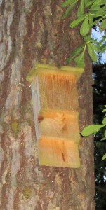 Wardown_bat_box
