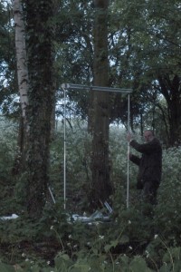 Bedfordshire Bat Groups New Harp trap