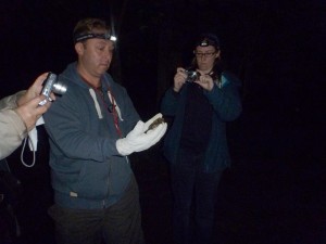Phil tries to release the Noctule. Photo Jude Hirstwood