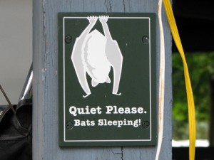 BatSleepSign