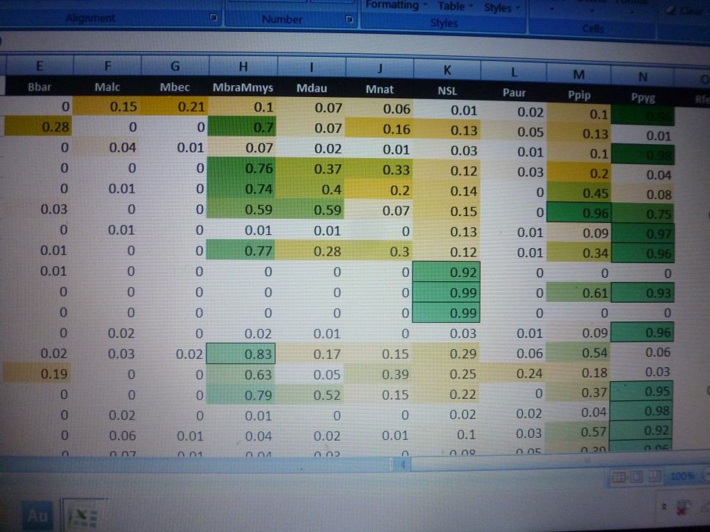 Bob's colour coded spreadsheet. Photo Jude Hirstwood