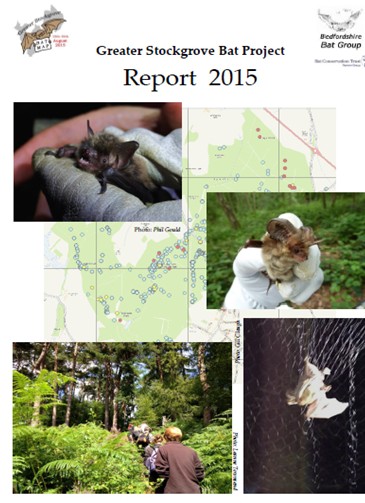 BatMap report