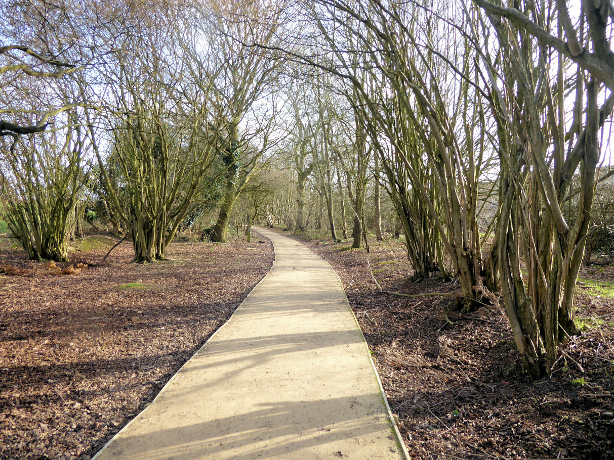 Wandon Park Bat Survey Stopsley Luton Bedfordshire Bat Group