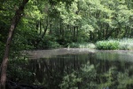 crop black pond.jpg