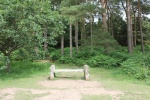 crop green man seat.jpg